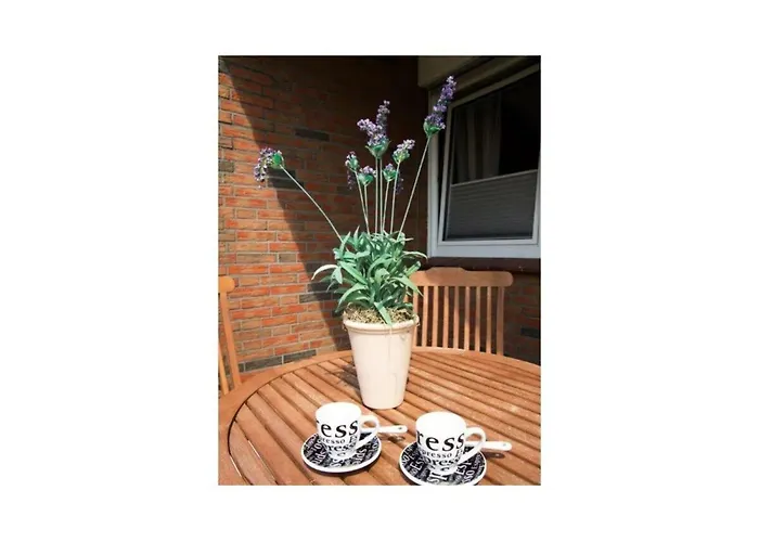 Strandbox بيت للعطل